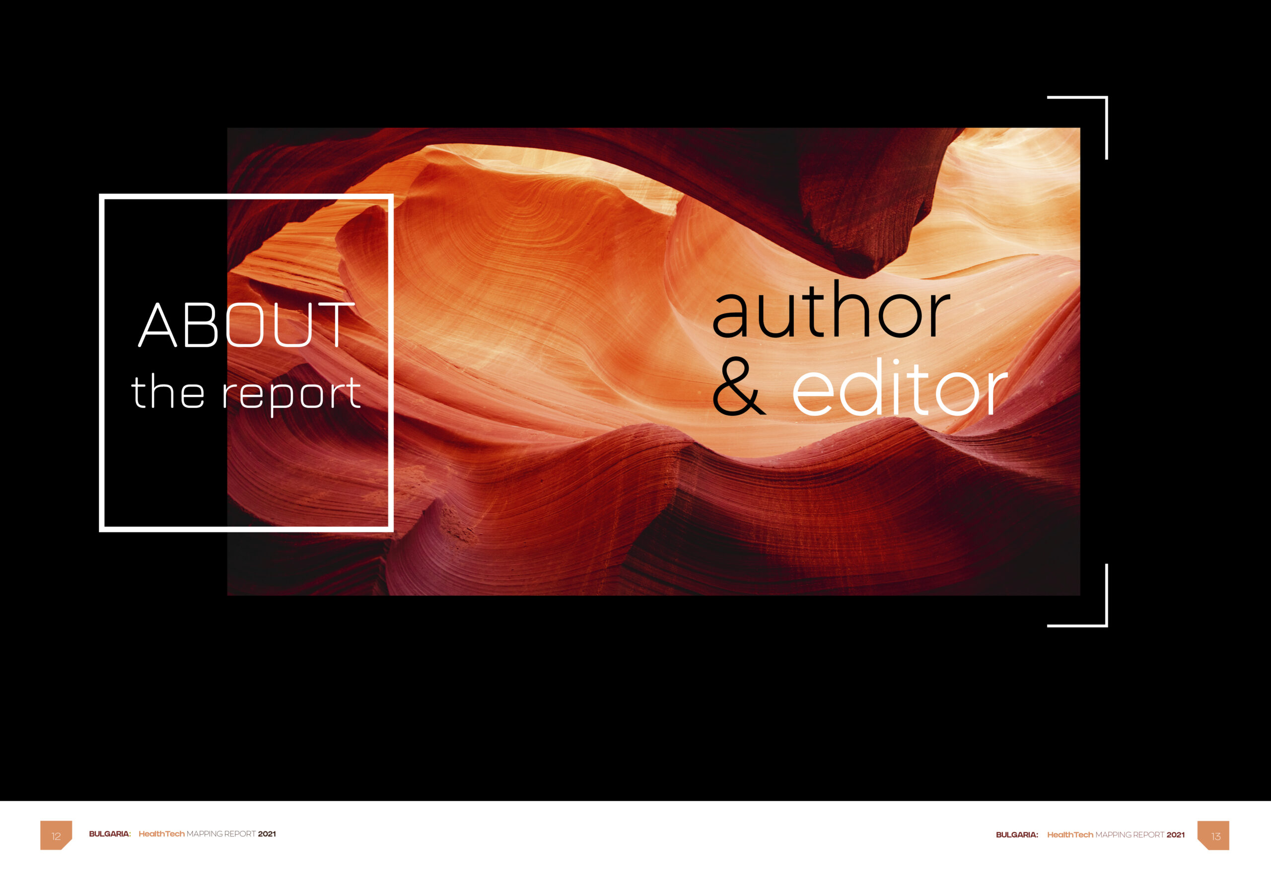 Report Author & Editor